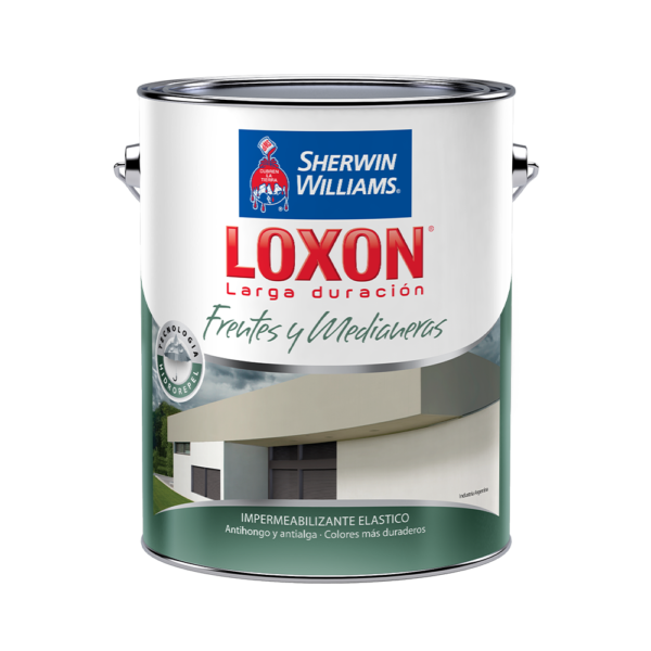 Loxon Ld Frentes Y Medianeras Impermeabilizante Loxon LD Frentes y Medianeras