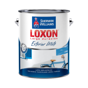 Loxon LD Látex Exterior