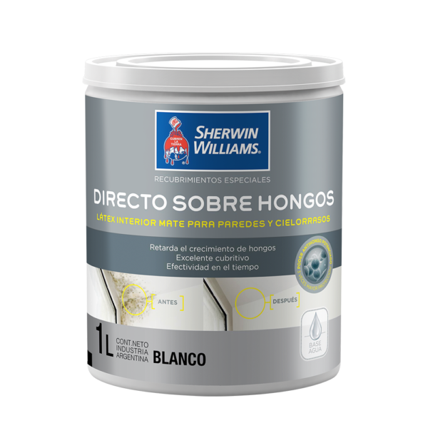 Directo Sobre Hongos