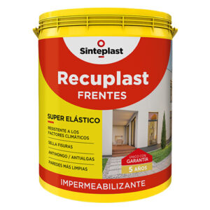 Sinteplast Recluplast Frentes Blanco